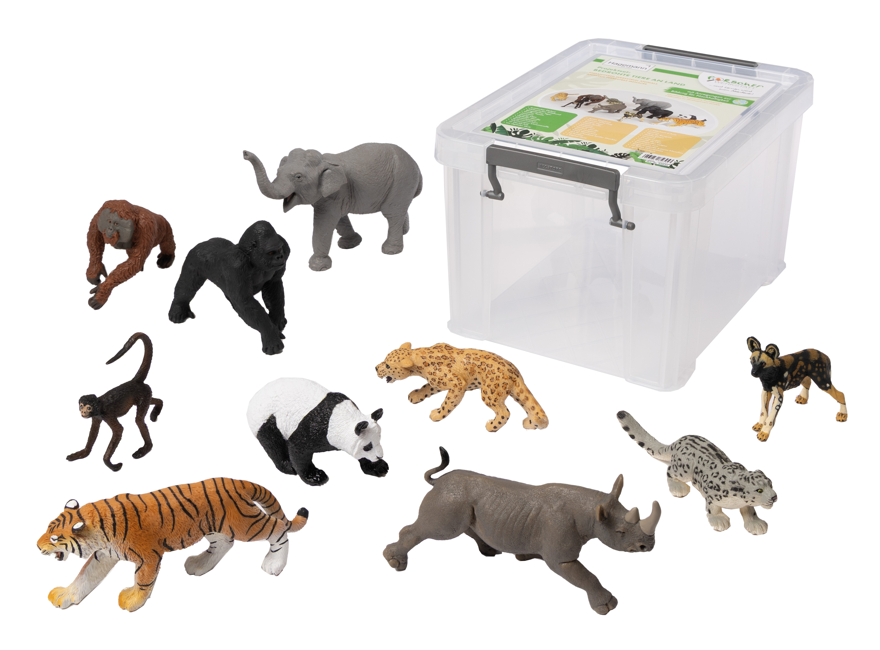 Projektset: Bedrohte Tiere an Land