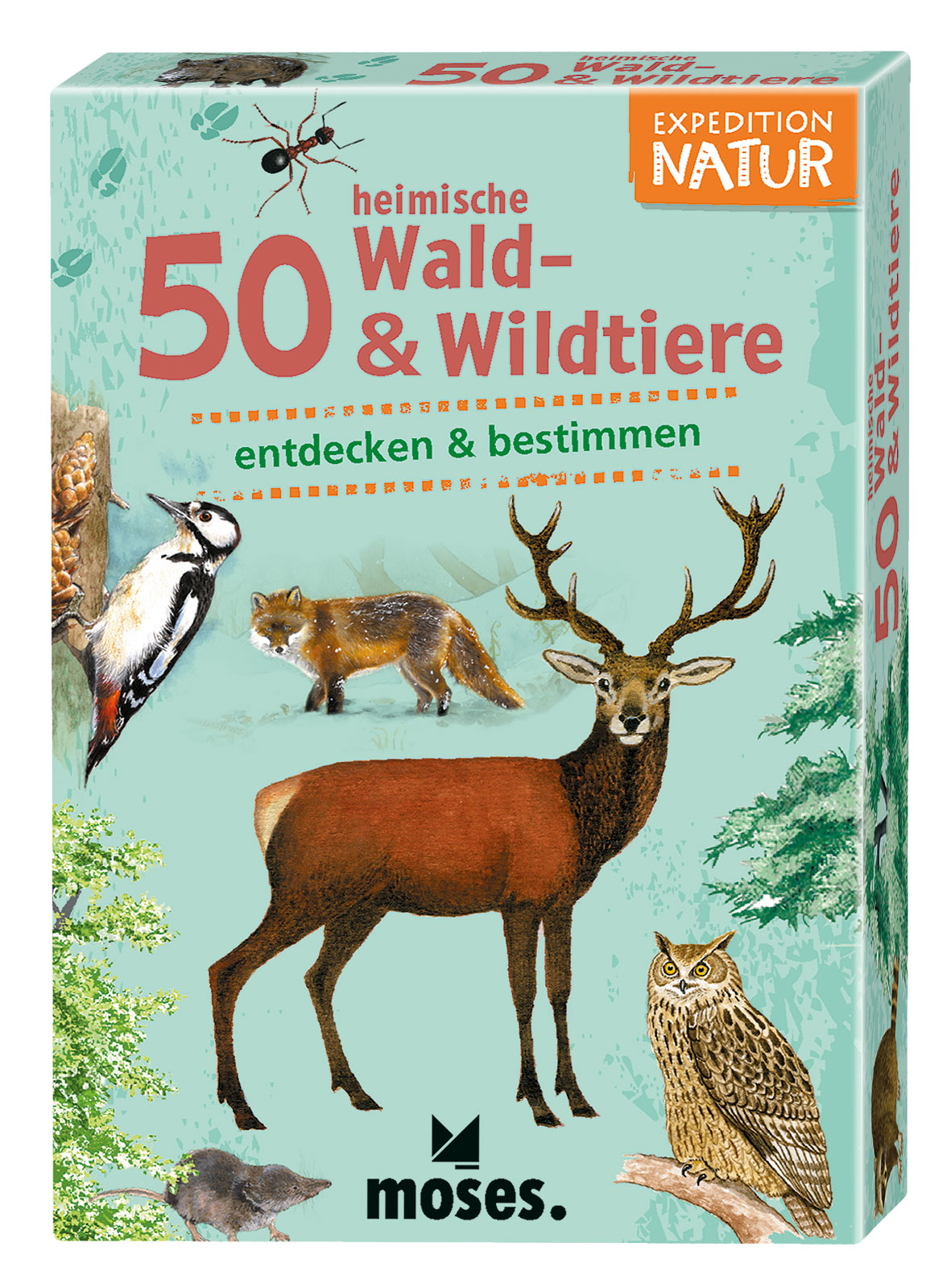 Expedition Natur 50 heimische Wald- & Wildtiere
