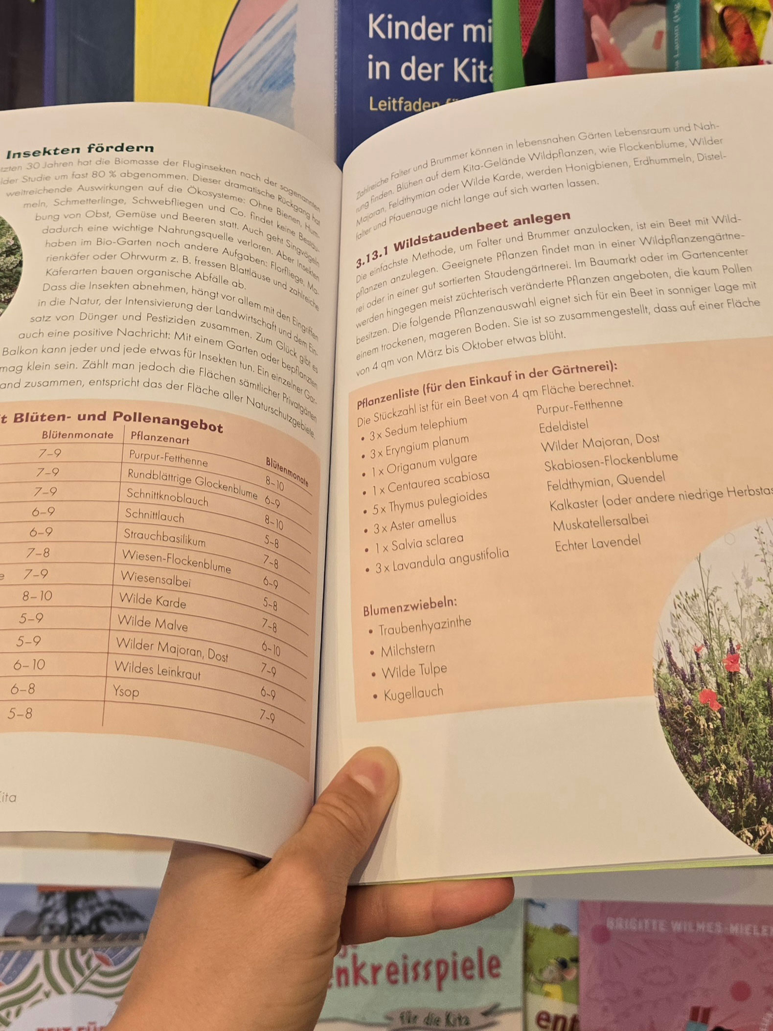 Gärtnern in der Kita