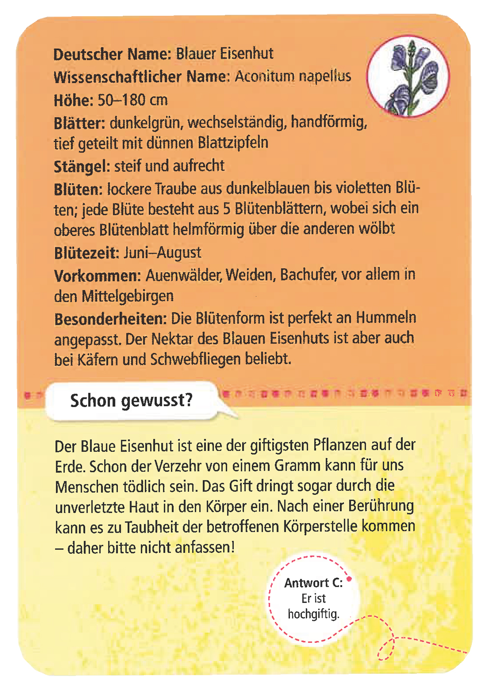Expedition Natur 50 heimische Blumen