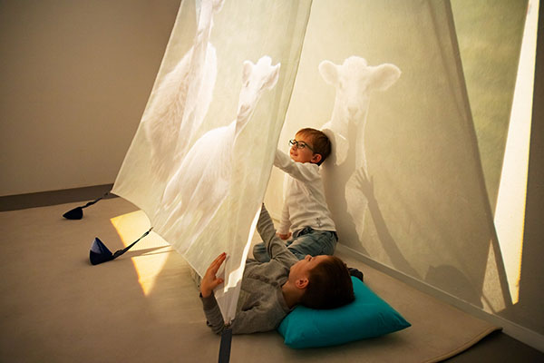 "Projektionsvorhang – „Bewegte Lichtwelten“"