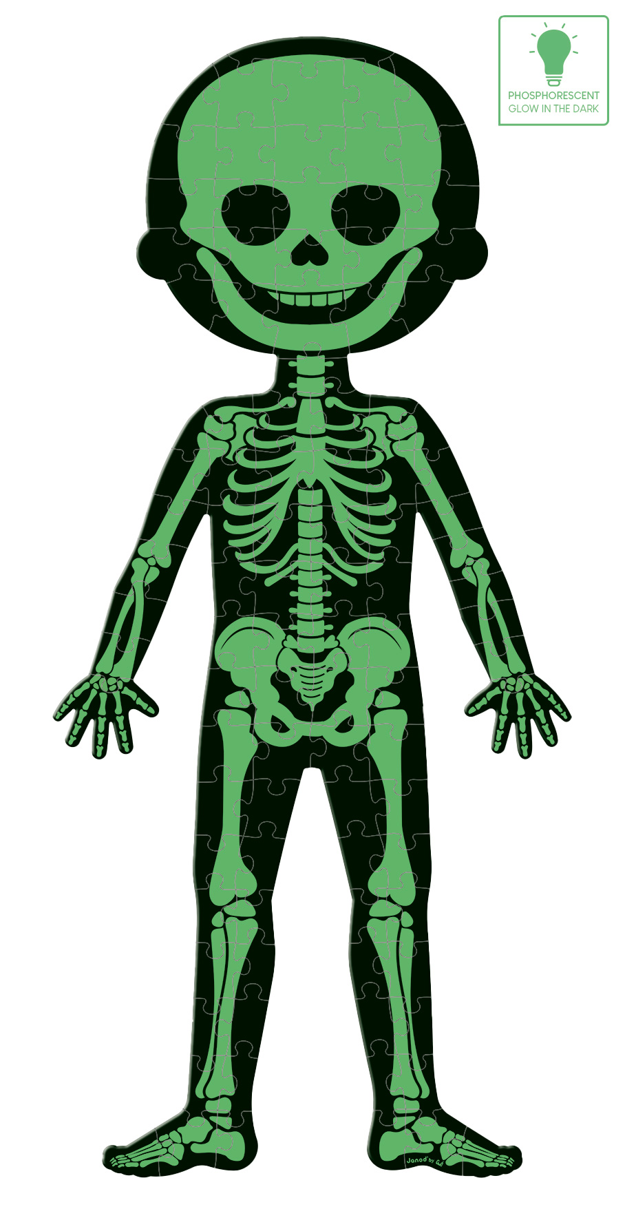 Puzzle Der menschliche Körper