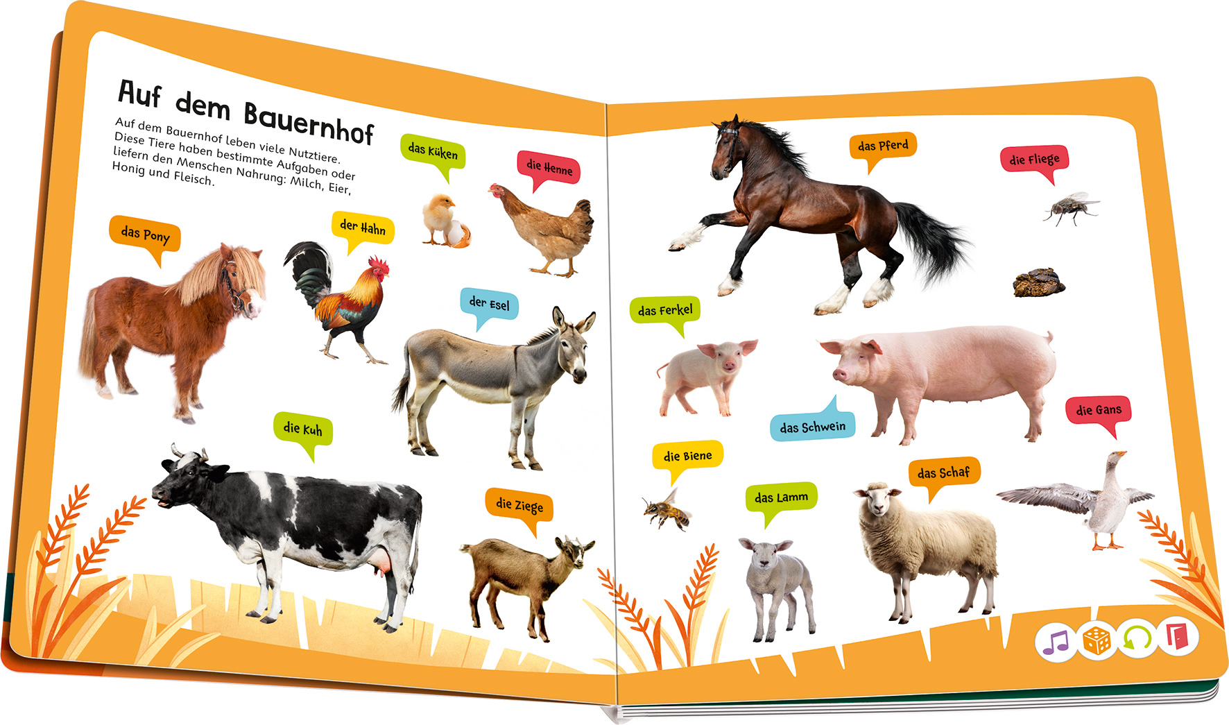 tiptoi® Kennst du diese Tiergeräusche?