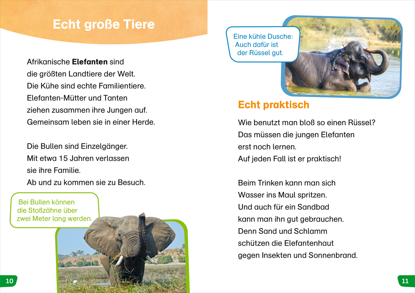 WIW Erstes Lesen easy! Paket