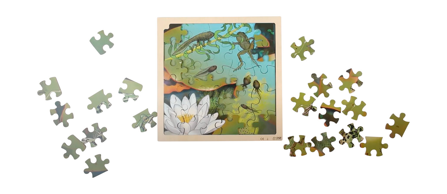 Lagenpuzzle Frosch