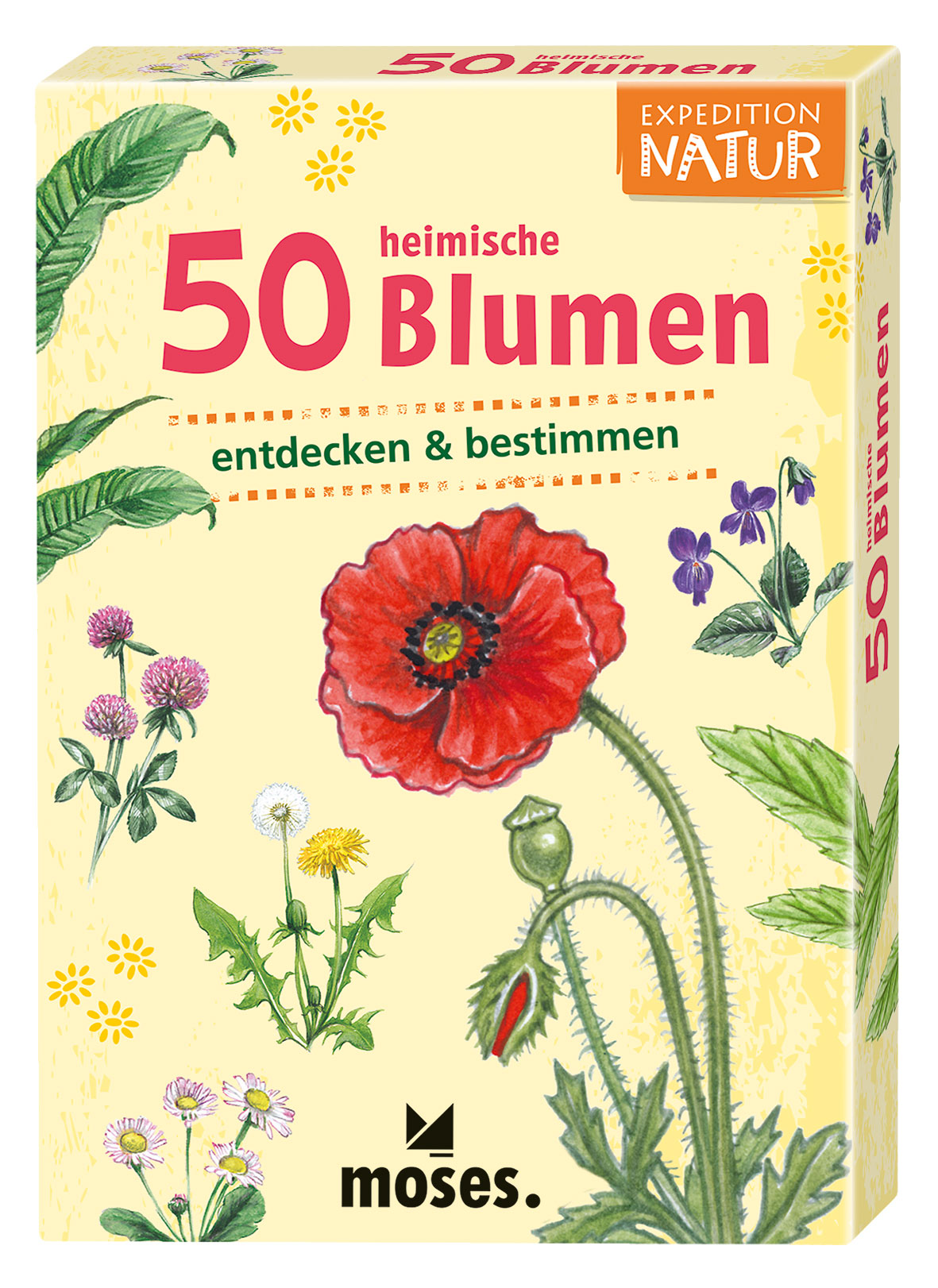 Expedition Natur 50 heimische Blumen