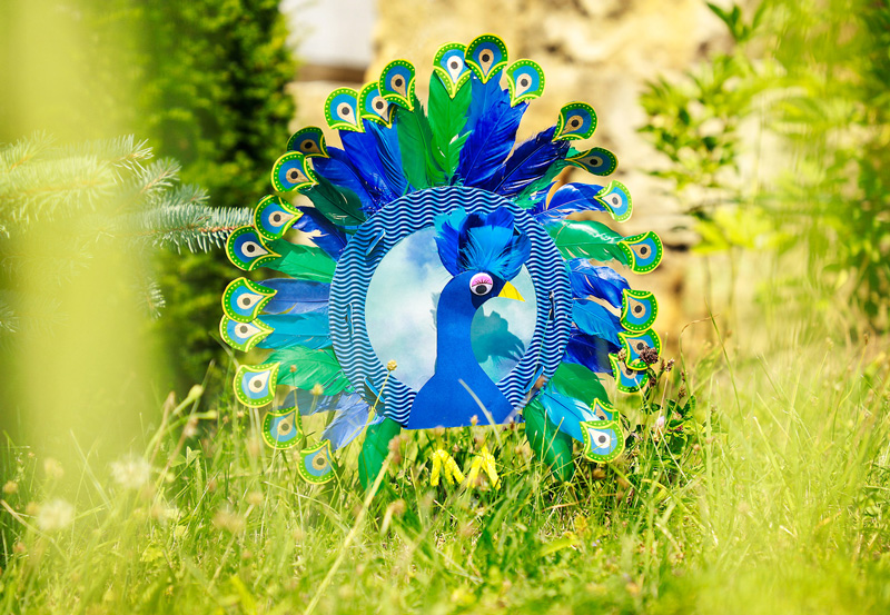 Pfau als Laterne Pfau als Laterne im Gras