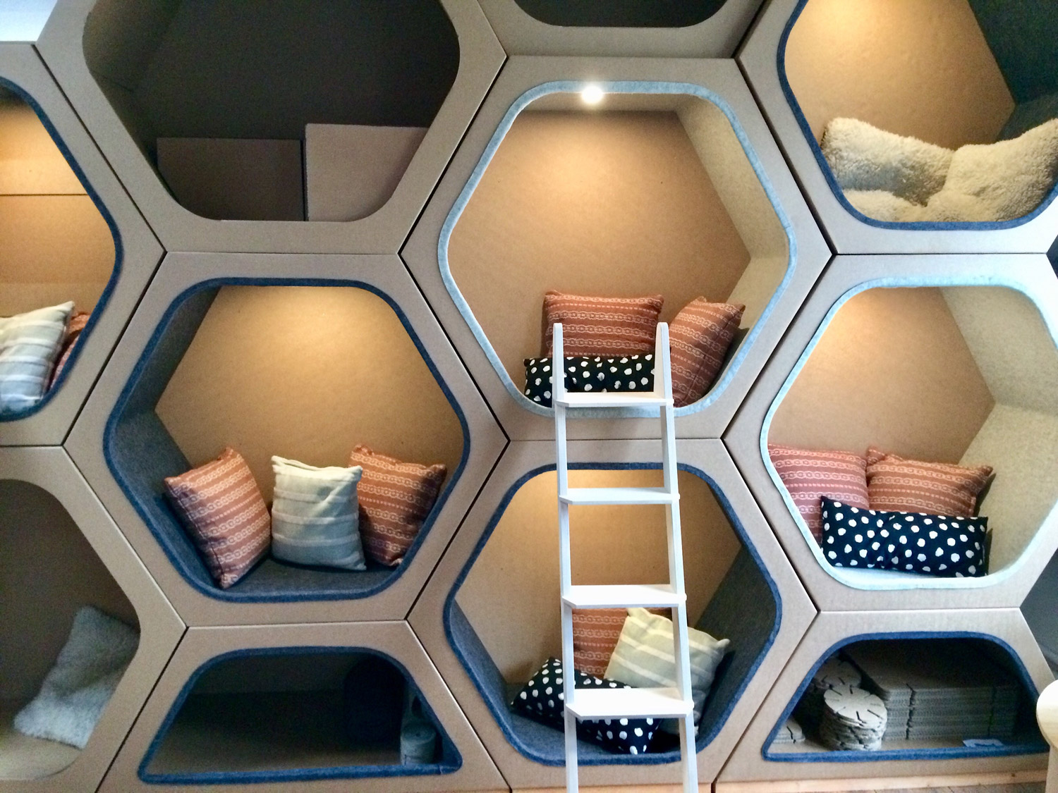 Lernwabe bei Dusyma Gestaltete Lernwaben mit Beleuchtung