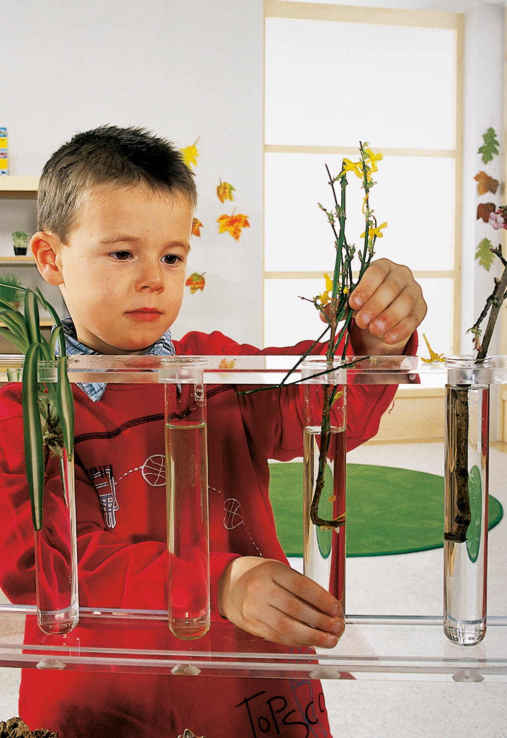 Blumen Ästhetische Bildung mit Blumen