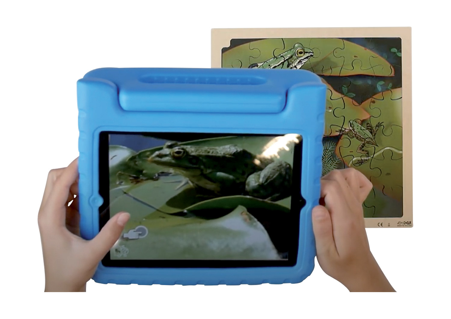 Lagenpuzzle Frosch