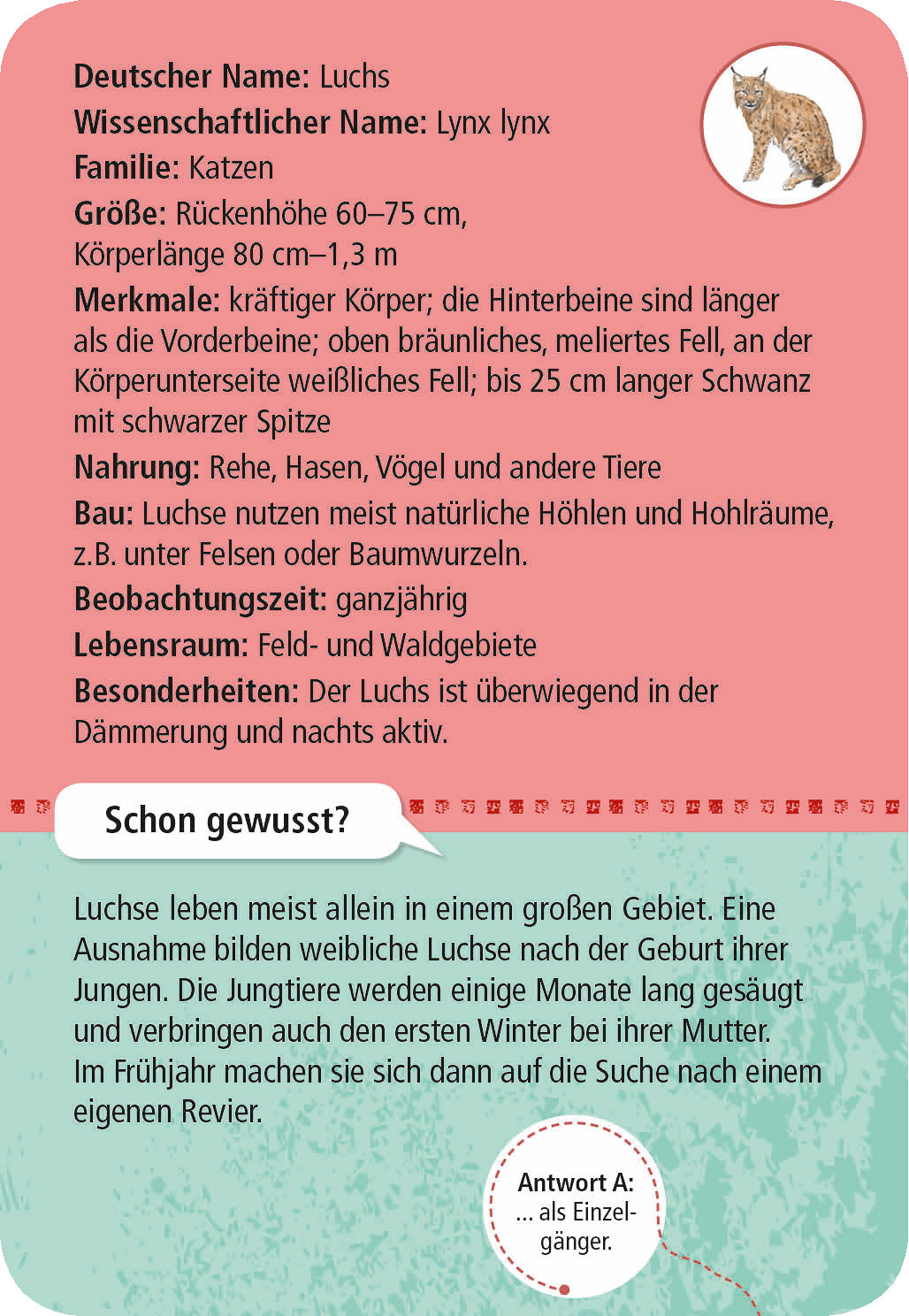 Expedition Natur 50 heimische Wald- & Wildtiere