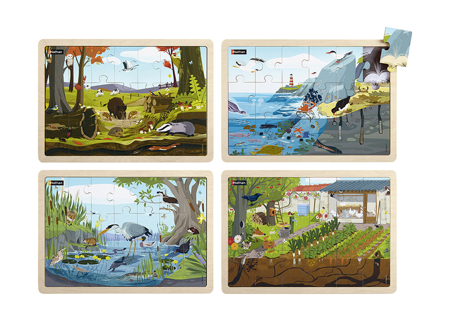 Puzzle Set Die Welt und Ihre Lebewesen