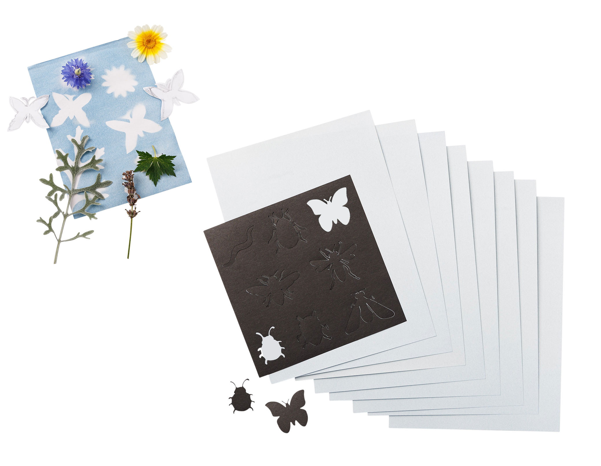 Sonnenpapier 562749 Sonnenpapier 562749