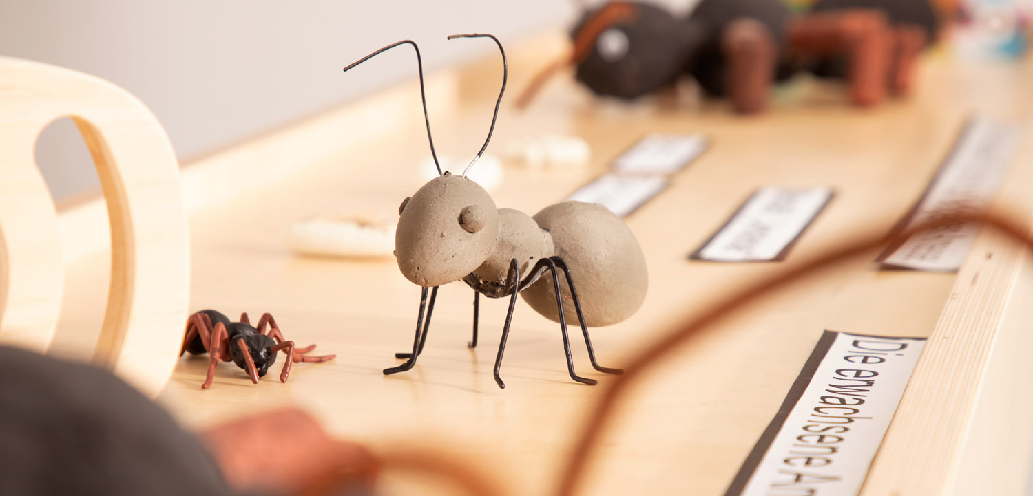 Ausstellung im RaumWürfel Museum Ausstellung im RaumWürfel Museum Beispiel 1