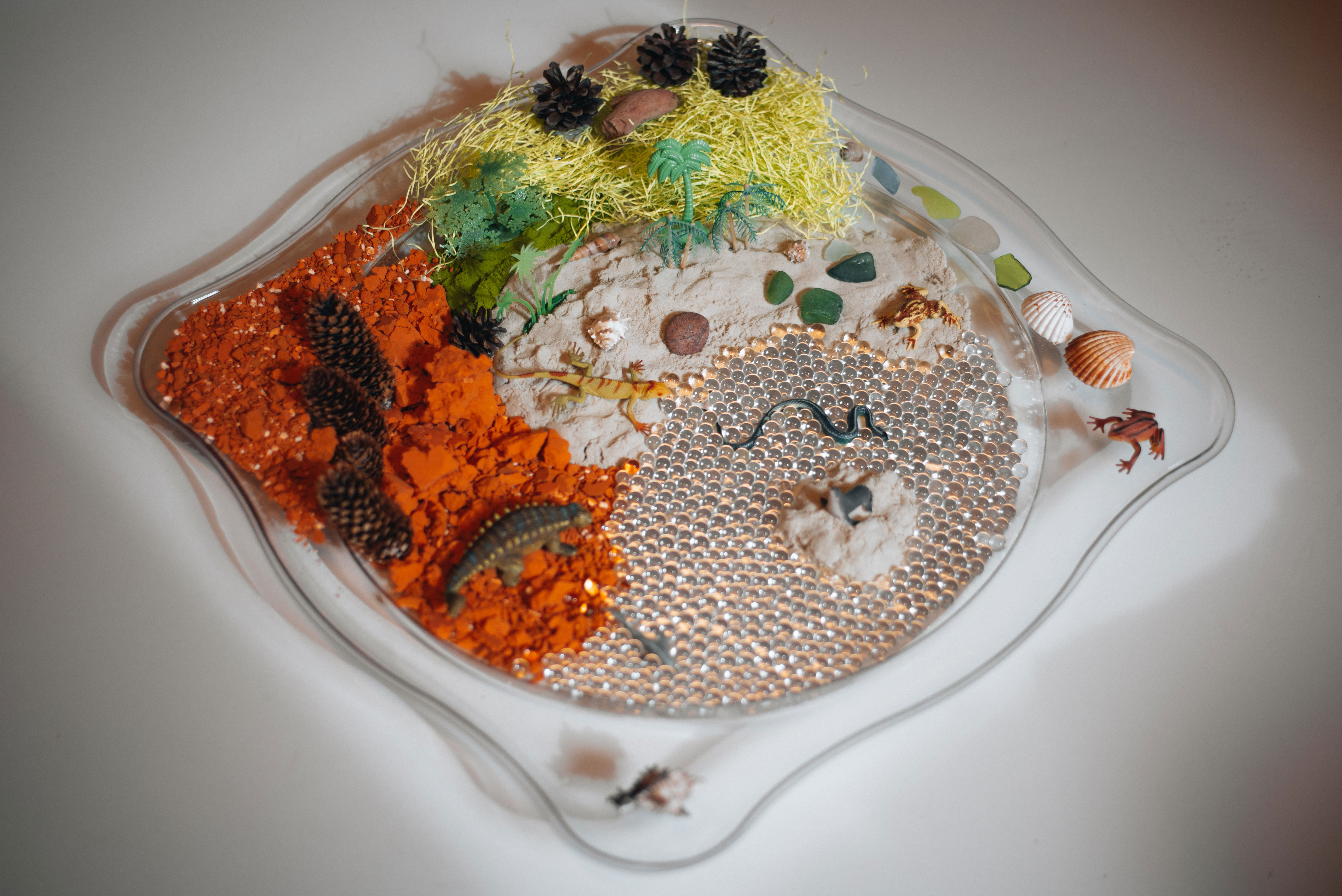 Faszinationsschale transparent