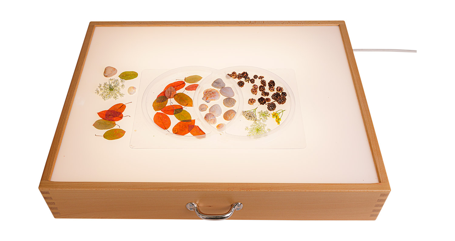 Sortiertabletts transparent