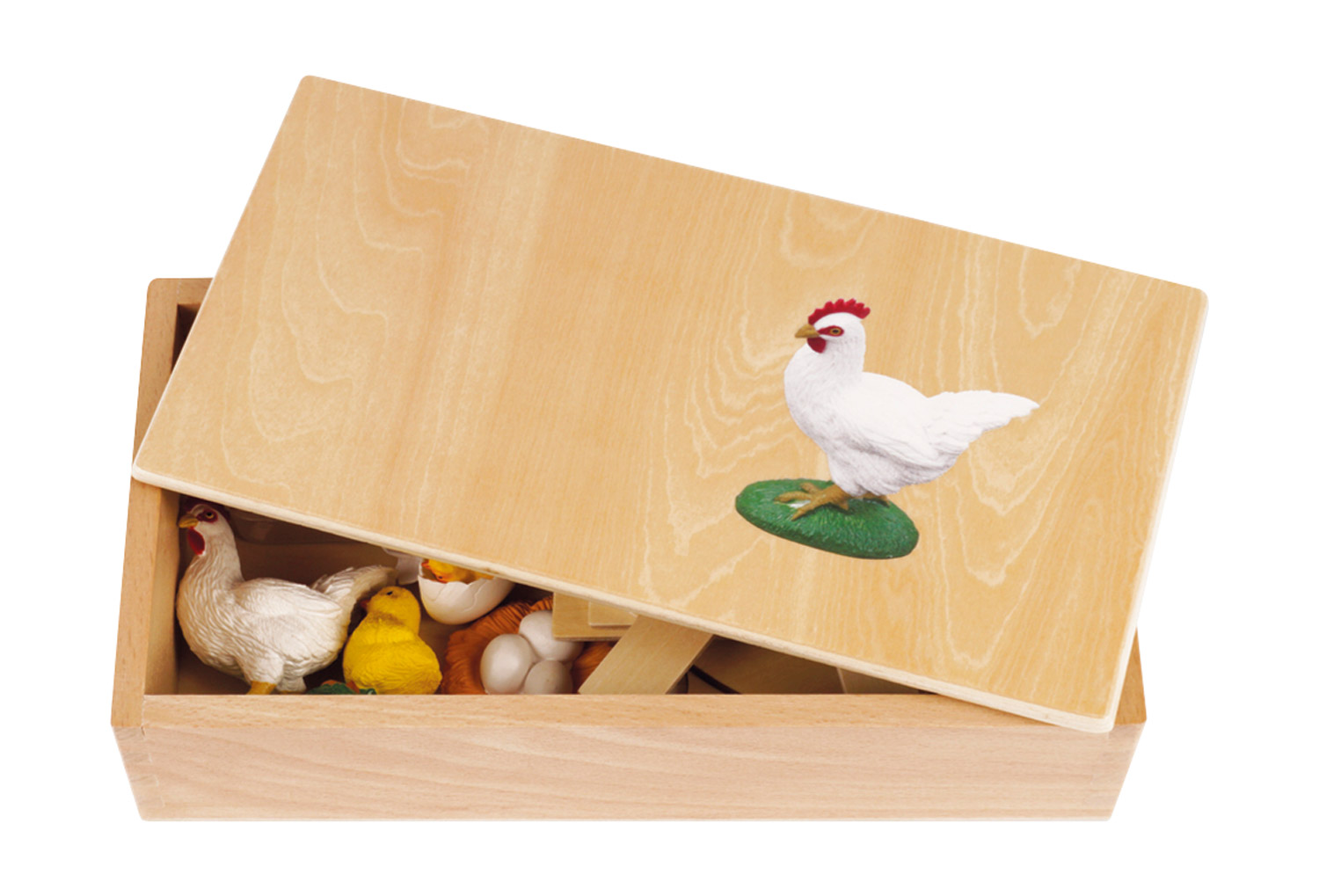 Lebenszyklus Huhn