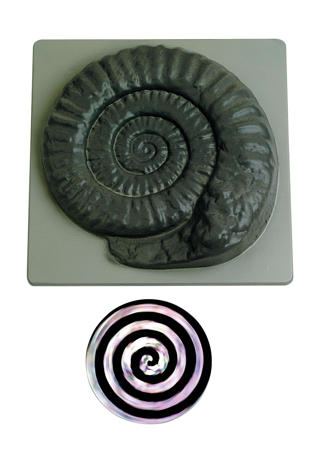 Zauberschnecke