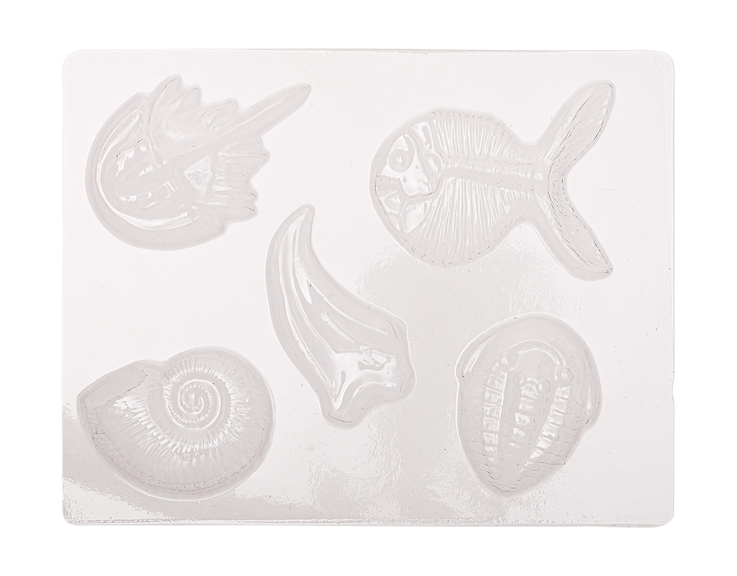 Gießform Fossilien