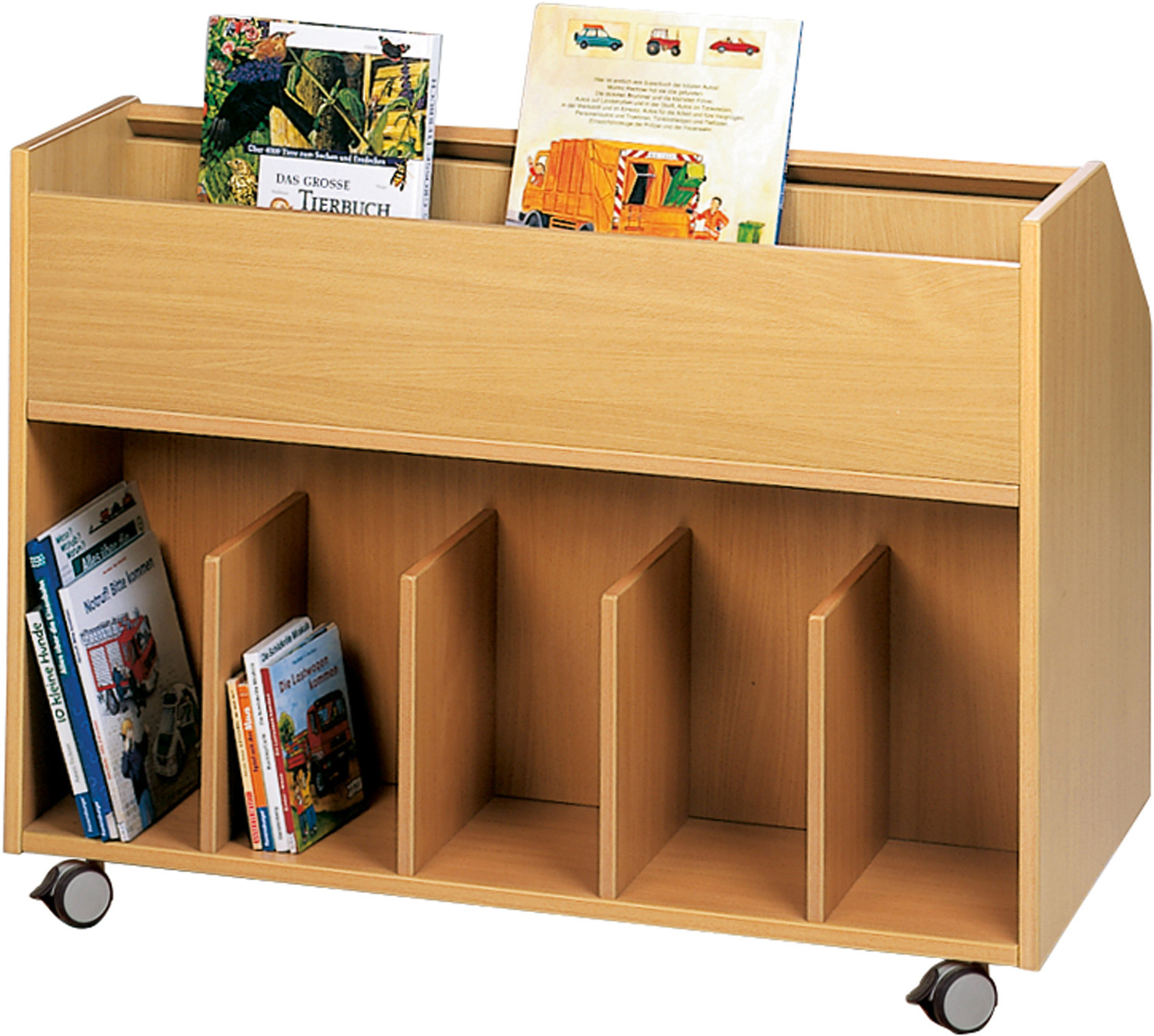 Fahrbare Bibliothek, Breite 100 cm