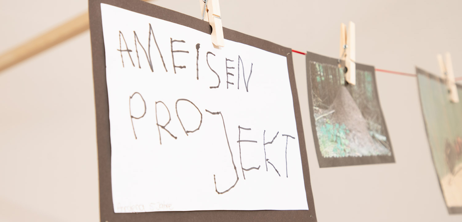 Ausstellung im Forscherraum Beispiel 1 Ausstellung im Forscherraum Beispiel 2