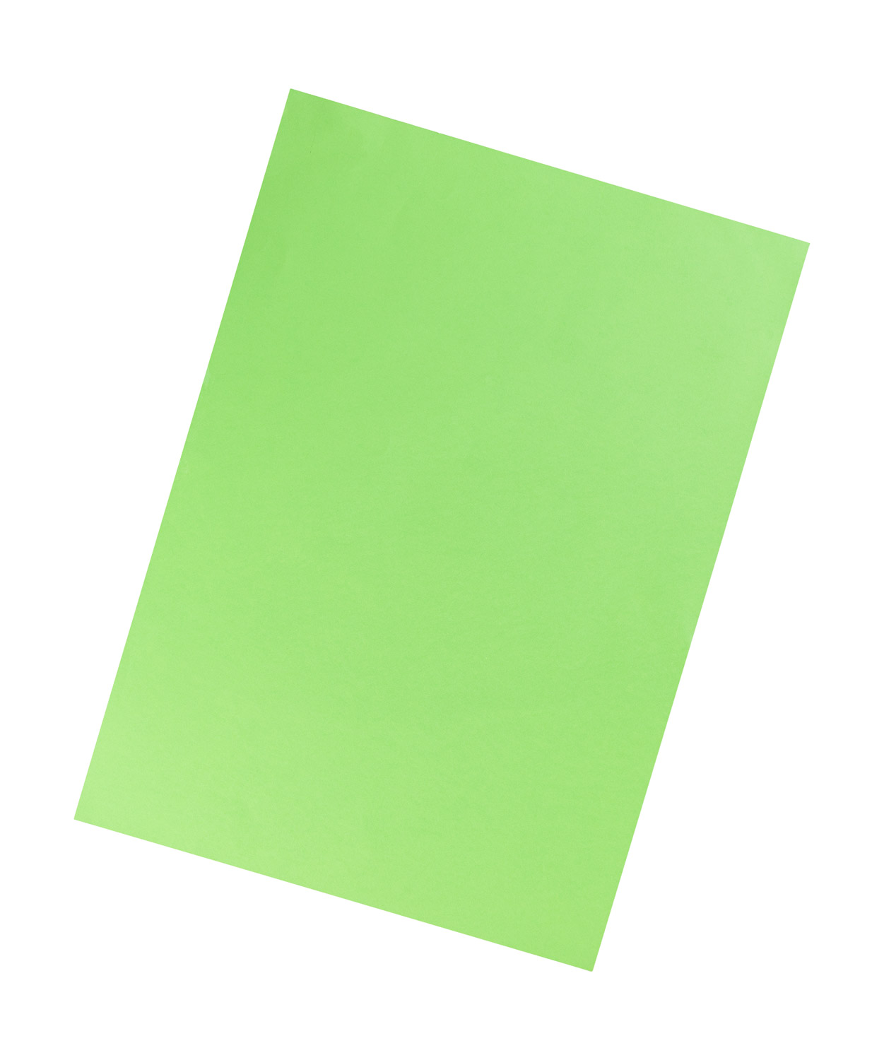 Fotokarton tropicgrün Fotokarton tropicgrün