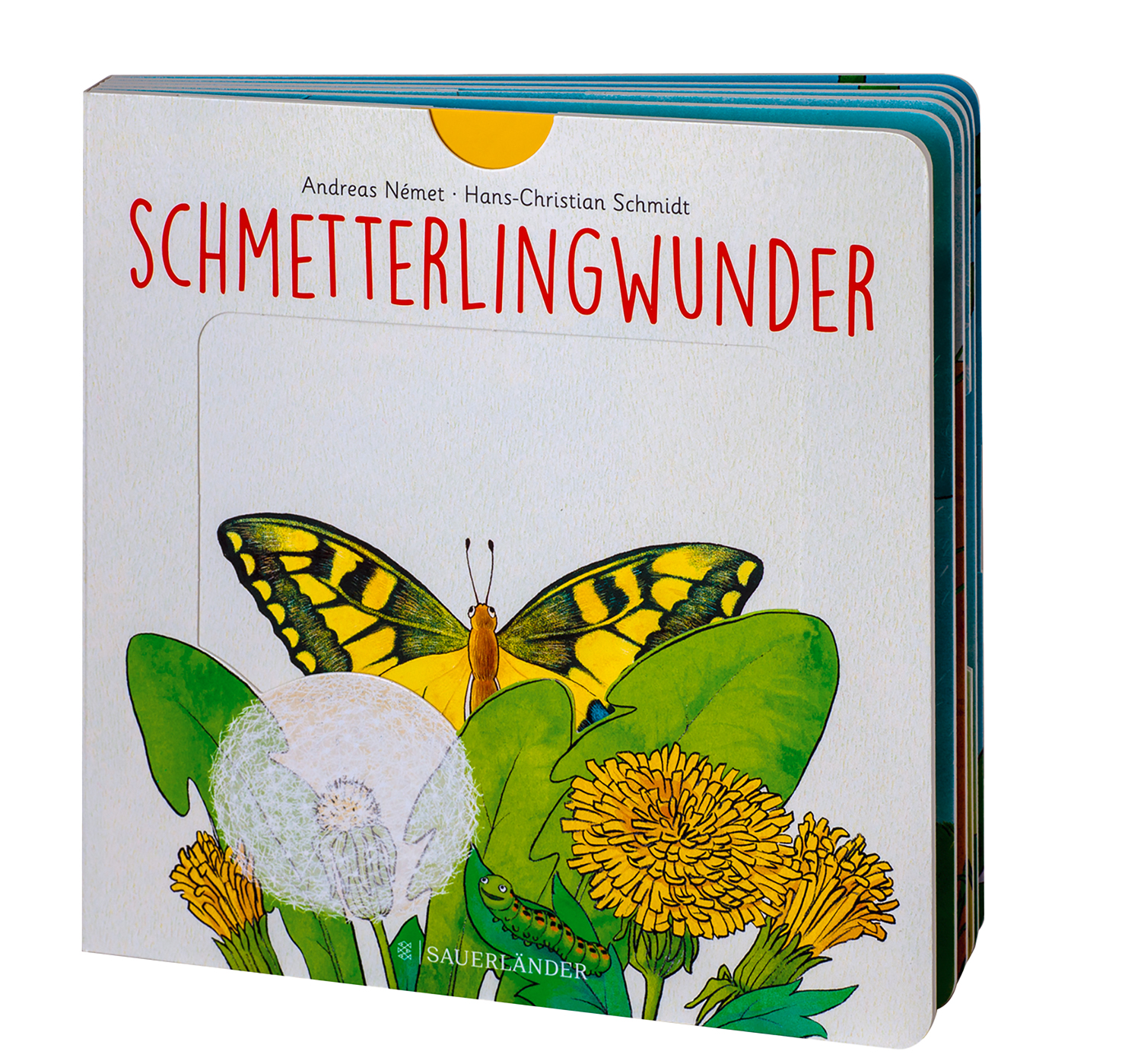 Schmetterlingwunder