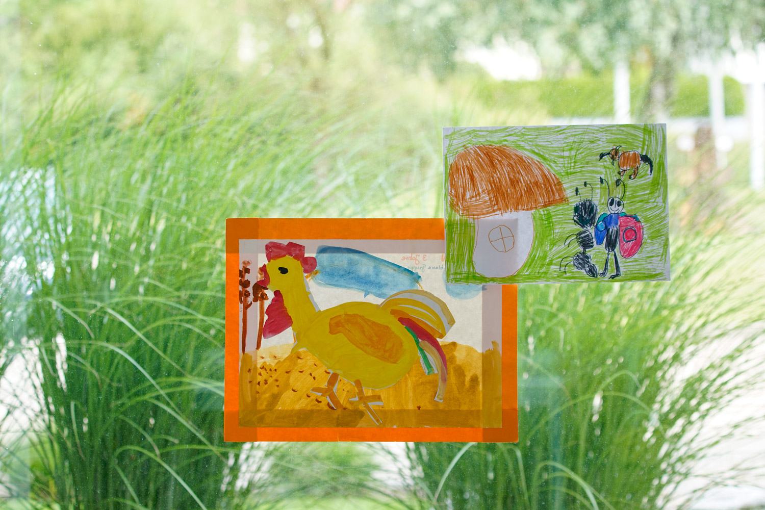 Fensterkleber Fensterkleber