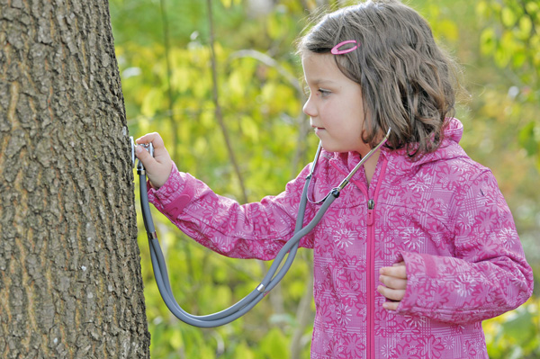 Kind hört Baum mit dem Stethoskop ab