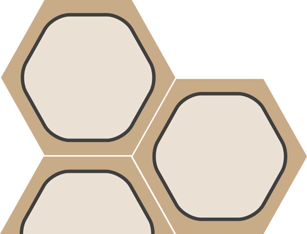 Lernwabe® Set Karton Lernwabe® Set Karton