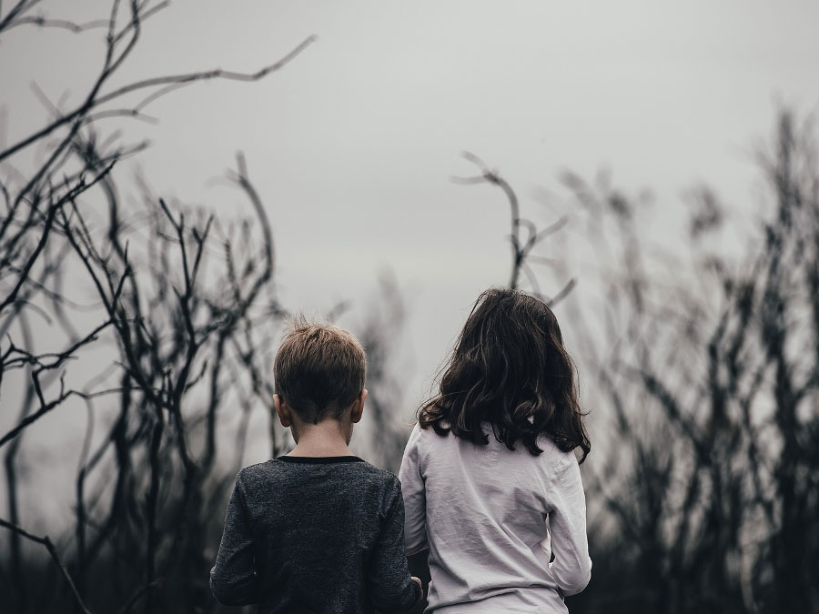 Praxis-Kurs: Trauerarbeit: Begleiten Sie Kinder und Eltern.